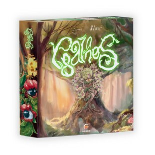 Galhos