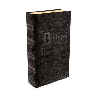 Coleção Cidades Sombrias #4: Bristol 1350