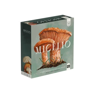Micélio